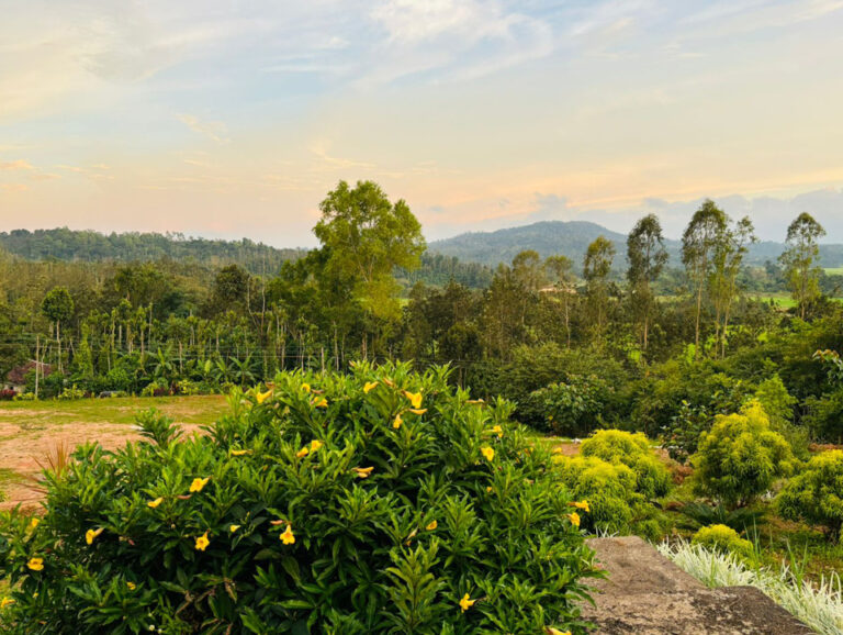 Top Things to Do During Your Stay at MANNINAMANE